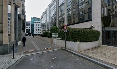 Business Investigation (B.I.)